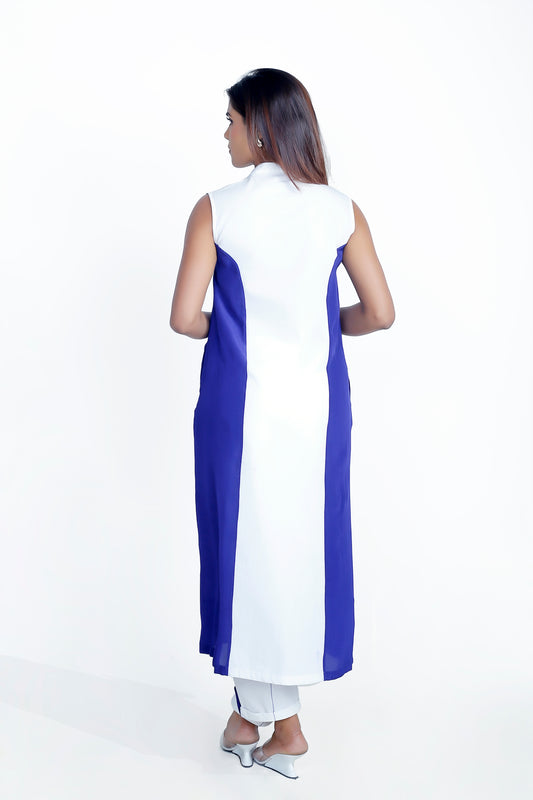 V-NECK COLLAR DRESS